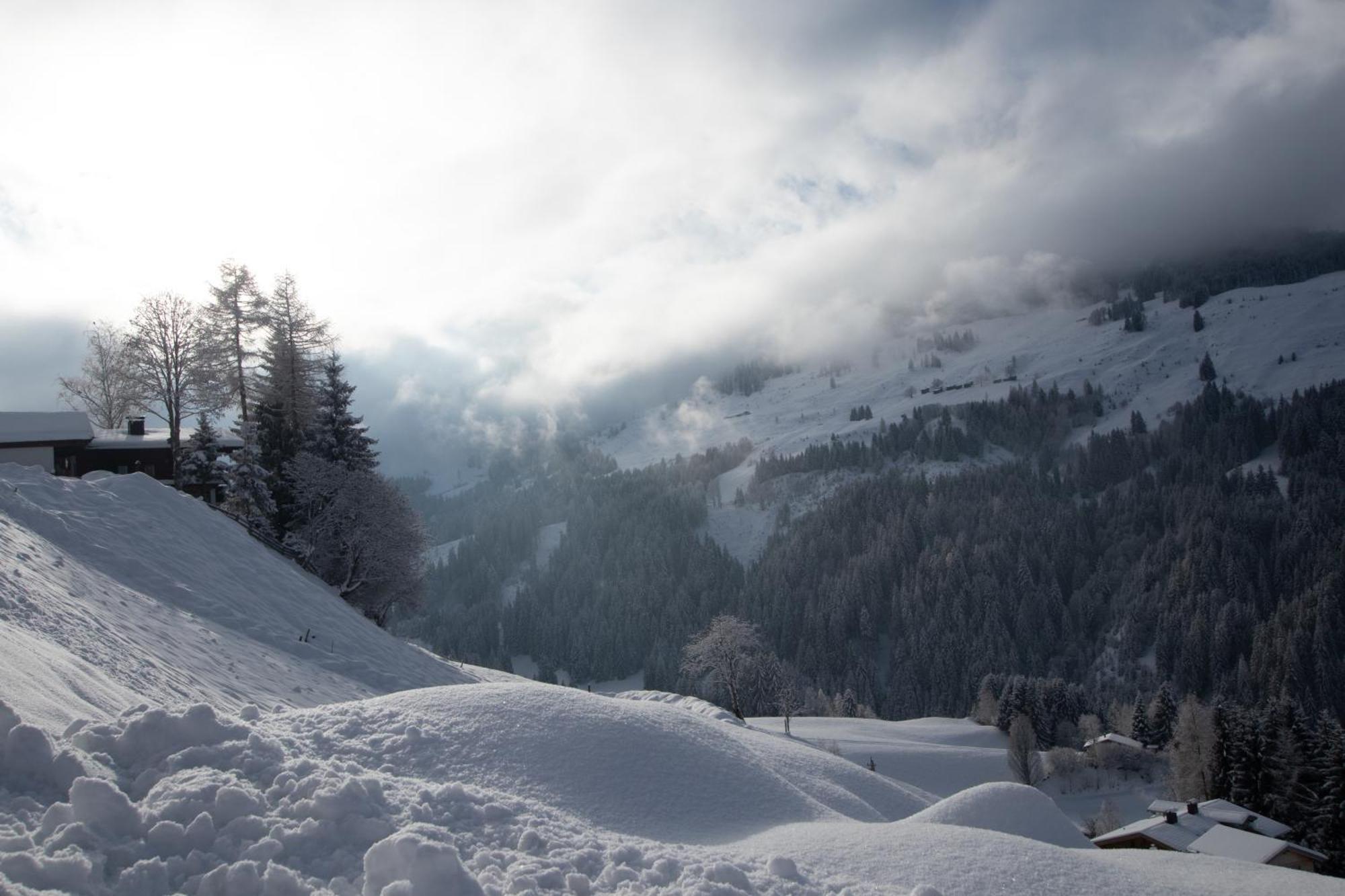 Ferienwohnung Bergpanorama Wild600 Schwarzenau  Dış mekan fotoğraf