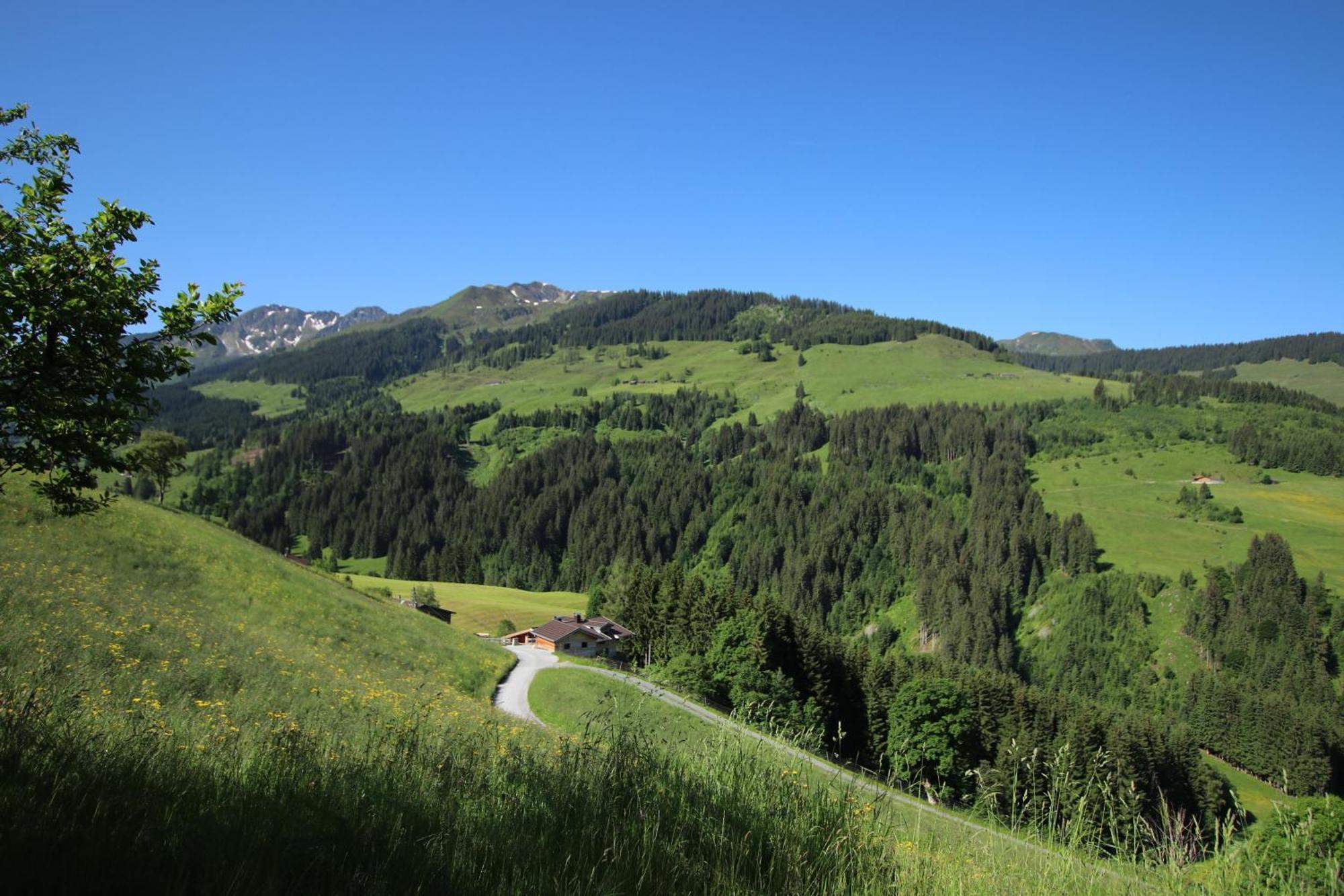 Ferienwohnung Bergpanorama Wild600 Schwarzenau  Dış mekan fotoğraf